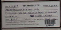 Image Associated With the Occurence